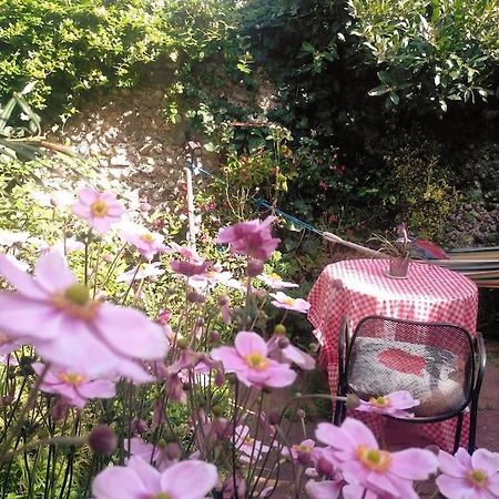 Cosy 1 Bedroom With Garden 2 Min From Seafront Hove Esterno foto
